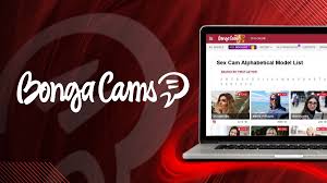 Top Voyeur Cams for Kinks: Spying Has Never Been This Sexy (2025)