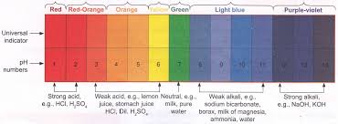 Total 8 Average 3 5 What Is The Definition Of Indicator In Chemistry Indicator Indicators Are Substances Which Show Chemistry Stomach Juice Definitions