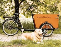 Lilly Und Das Babboe Dog E Lasten E Bike Trainings Plan Erstes Fazit Lill S Dog Blog Babboe E Bike E Lastenrad