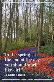 Explore 538 hill quotes by authors including henry ward beecher, arthur schopenhauer, and frank lloyd brainyquote has been providing inspirational quotes since 2001 to our worldwide community. 20 Best Spring Quotes Inspirational And Funny Sayings About Spring