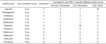 Effect Of Stress Adaptation On Antibiotic Sensitivity