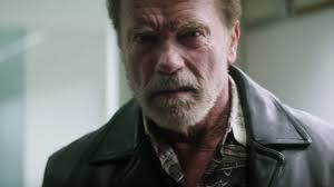 Vitaly kaloyev stabbed air traffic controller peter nielsen after his family died. Arnold Schwarzenegger To Star In New Movie As Russian Murderer Vitaly Kaloyev