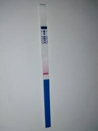 6 tagen ist die empfänglichkeit der gebärmutter vorbei. Sst 6 Tage Nach Gv Positiv Forum Ovulations Und Schwangerschaftstests Urbia De