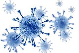 Hiv stands for human immunodeficiency virus. Hiv Aids National Foundation For Infectious Diseases