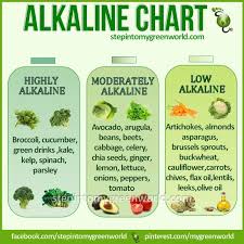 Pin By Coachwithjean On My Ph Fix Alkaline Foods Chart Alkaline Foods Alkaline Diet Recipes