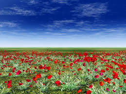 Beijing new picture film co. Attractive Red Flower Grass Photography Fashion Digital Background Film Production Art Portrait Backdrops Sale