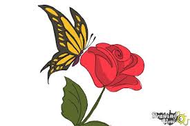 How To Draw A Butterfly On A Flower Drawingnow A beautiful flower always makes us smile.