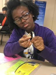 Arkansas Northeastern College: 2017