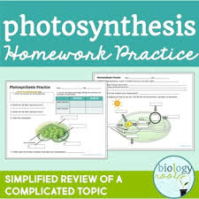 Worksheets and lesson ideas to challenge students aged 11 to 16 to think hard about photosynthesis (gcse and key stage 3). Photosynthesis Homework Practice Supports Distance Learning By Biology Roots