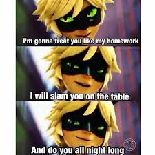 The best funny pick up lines. Oh God Chat It S Even Funnier Cause It S Also Adrien Miraculous Ladybug Comic Miraculous Ladybug Memes Miraculous Ladybug Fan Art