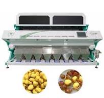 Walnut Color Sorter - High Accuracy CCD Sensor & AI Sorting