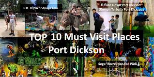 Pd ostrich show farm is a good place to spend a few hours with the family in port dickson. Top 10 Places Must Visit In Port Dickson Ticket2u Blog