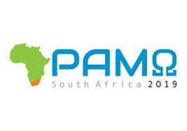 Pan African Mathematics Olympiad 2019 Aims South Africa