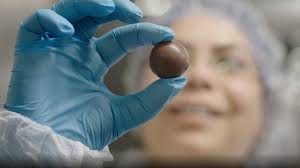 Organigram-Aktien sinken aufgrund rückläufiger Umsätze