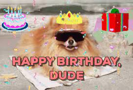 Two pink spotlights illuminate the congratulatory lettering in the center of this gif. Pomeranian Birthday Gif Novocom Top