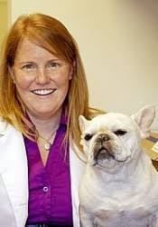Dr. Kari Kelly (Morningside Animal Hospital)