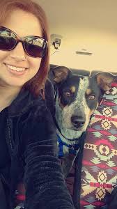 Home needed for two active dogs