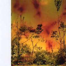 Plants don't like being exposed to music more than one to three hours per day. Music For Plants 2005 Cd Discogs