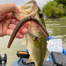 This book contains proven steps and strategies on how to start fishing for bass. Urban Fishing In Fort Worth