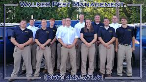 Pest control service in greenville, south carolina. Do You Have A Pest Control Question We Have The Answers Here
