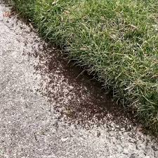 At the same time, it has quietly grown from a small family business to the nation's. Lake Cook Pest Control Home Facebook