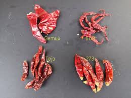 Bagi memproses cili boh dalam kuantiti yang banyak cili kering perlu di bersihkan sebelum dirandam dalam air. Jenis Cili Kering Ini Penentu Masakan Ekstra Pedas Atau Tak Pedas Baru Senang Pilih Pa Ma
