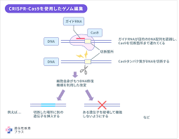遺伝性疾患プラス - QLife