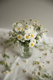 Find over 100+ of the best free flowers in a vase images. 1k Aesthetic Flower Pictures Download Free Images On Unsplash