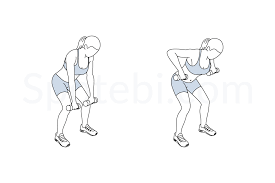 Keep your back straight and chest up and hold the dumbbells straight (elbows slightly bend). Wide Row Illustrated Exercise Guide
