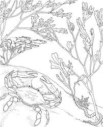 Seascape Ocean Coloring Page Ocean Coloring Pages Beach Coloring Pages Coloring Pages