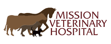 We're always delighted to welcome new patients and their families to our veterinary hospital! Home Mission Veterinary Hospital