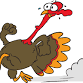 Cardinal Greenway Turkey Trot 2025