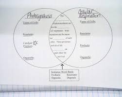 Chapter 9 Energy In A Cell Worksheet Answer Key Photosynthesis Teaching Biology Biology Lessons