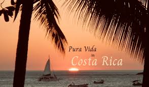 #beautifulgardens 🌻🌺🍃 the #brooklynbotanicgarden officially opened in 1911 and has delighted millions of visitors since then. The Pura Vida Lifestyle In Costa Rica Sirena Serena Retreat Center