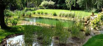 In general, you can build a natural swimming pool in the us for anywhere from $30,000 to $100,000 and up. All About Natural Swimming Pools Ecohome