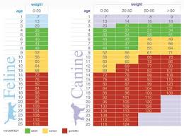 how old is your pet in human years thunder bay on