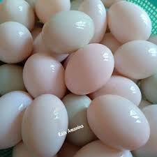 Bila dah nak nampak hancur, buang air sedikit dan keringkan sedikti sebelum masukkan bahan lain seperti kelapa sedikit serbuk kunyit. Telur Masin Cantik Resepi Sheila Rusly Fans Facebook
