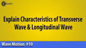 Describe evidence that when waves are moving, it is the wave that moves not the medium. Explain Characteristics Of Transverse Wave Longitudinal Wave Wave Motion Ekeeda Com Youtube
