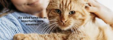 At the clinic our state licensed veterinarians and professional staff will ask you a few questions about your pet's lifestyle. Pet Express Vet Spa Home Facebook