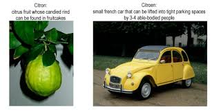 Image result for Plum 2011 Citroen