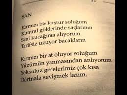 Cemal Sureyya San Ozlu Sozler Siir Goku