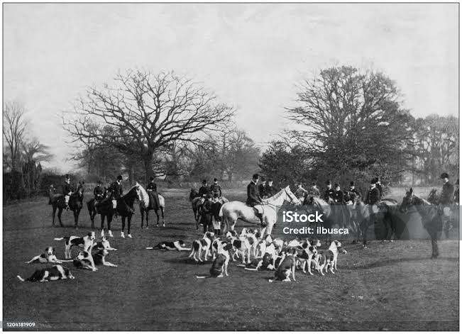 Antique Photograph Of The British Empire Fox Hunting In Leicestershire Stock Illustration - Download Image Now - iStock