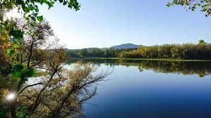 Dogs are also able to use this trail but must be kept on leash. Riverfront Regional Park