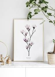Magnolia Poster In 2020 Kunst Poster Bilder Poster Rosa Blumen