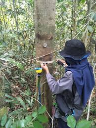 Dari hasil pemikiran itu pula, muncul berbagai pandangan hidup yang mengarahkan arah hidup manusia dan. Restorasi Hutan Hutan Harapan