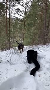 Elvin Paredes (elvinparedes)