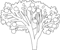 Print free coloring pages activities for kids. Apple Tree Coloring Page Stock Vector Illustration Of Flora 124948531