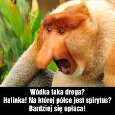 Image result for tycior emotka