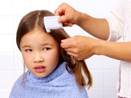 Hair brushes should be soaked in hot water for no fewer than 10 minutes, but replacing them entirely is always the best option. How Contagious Head Lice Are