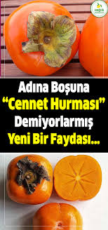Cennet Hurmasi Tam Bir Sifa Deposuymus Meyve Saglik Kadin Cennet Hurmasi Fruit Health Fruit Persimmon